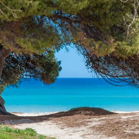 In Mallorca *